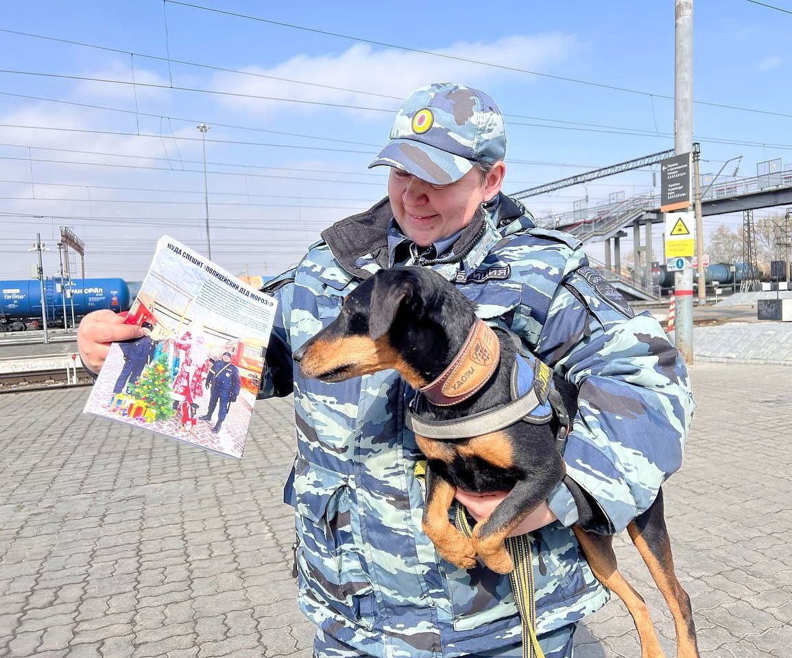 Служба в полиции по поиску и обнаружения целевых веществ. Акбеон Вендетта ВВ.