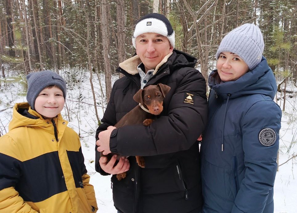 Покупка щенка ягдтерьера
