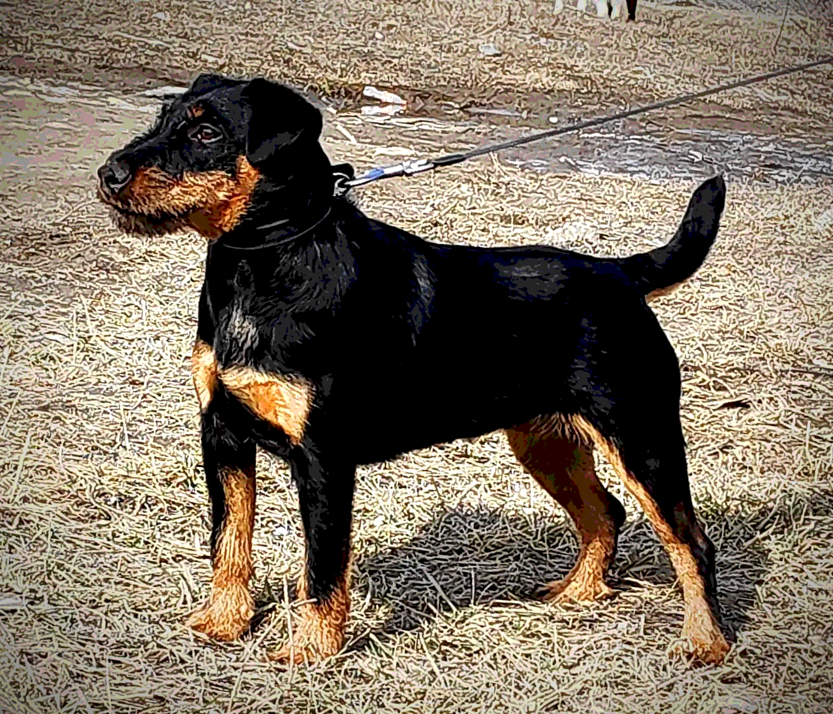 Слишком короткая шея